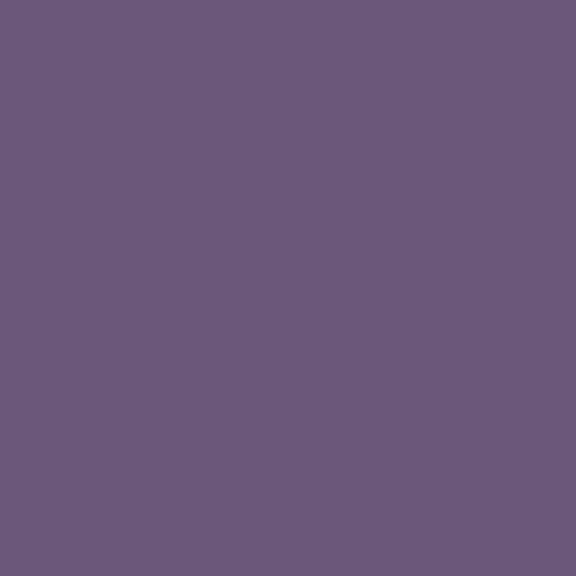 Swatch-FTT20-Dark-Purple-Paint