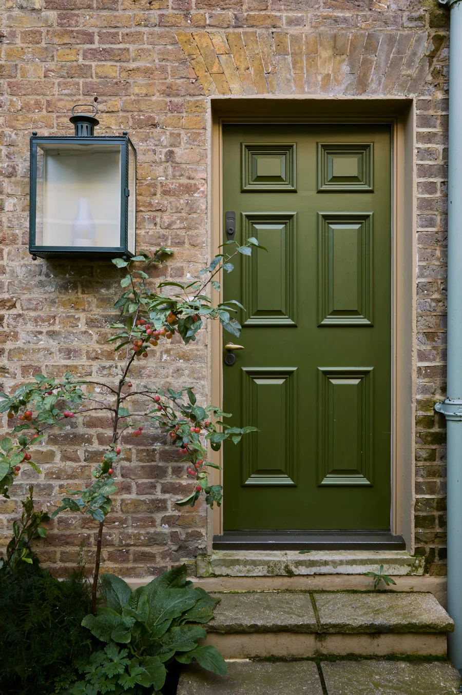 BH.15 Caca d'Oie - Image 2